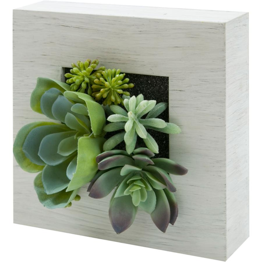 多肉フレーム タニクミックスフレーム Pm1818 ニトリ 玄関先迄納品 1年保証 ニトリ Yahoo 店 通販 Yahoo ショッピング