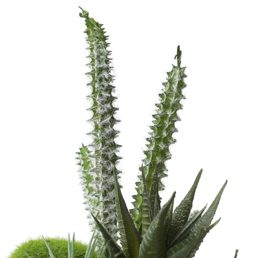 ニトリ アレンジカクタスセメントポット(YX) フェイクグリーン