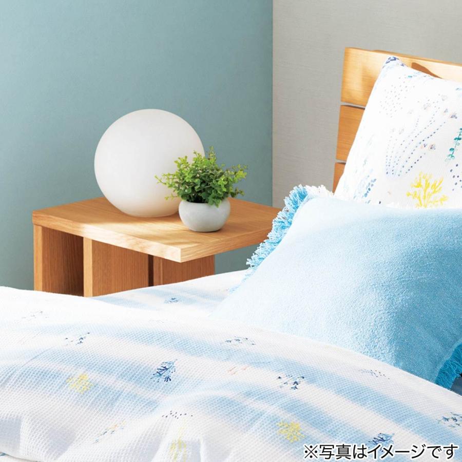 ニトリ（NITORI） フェイクグリーン セメントポット オレガノ(HA45502