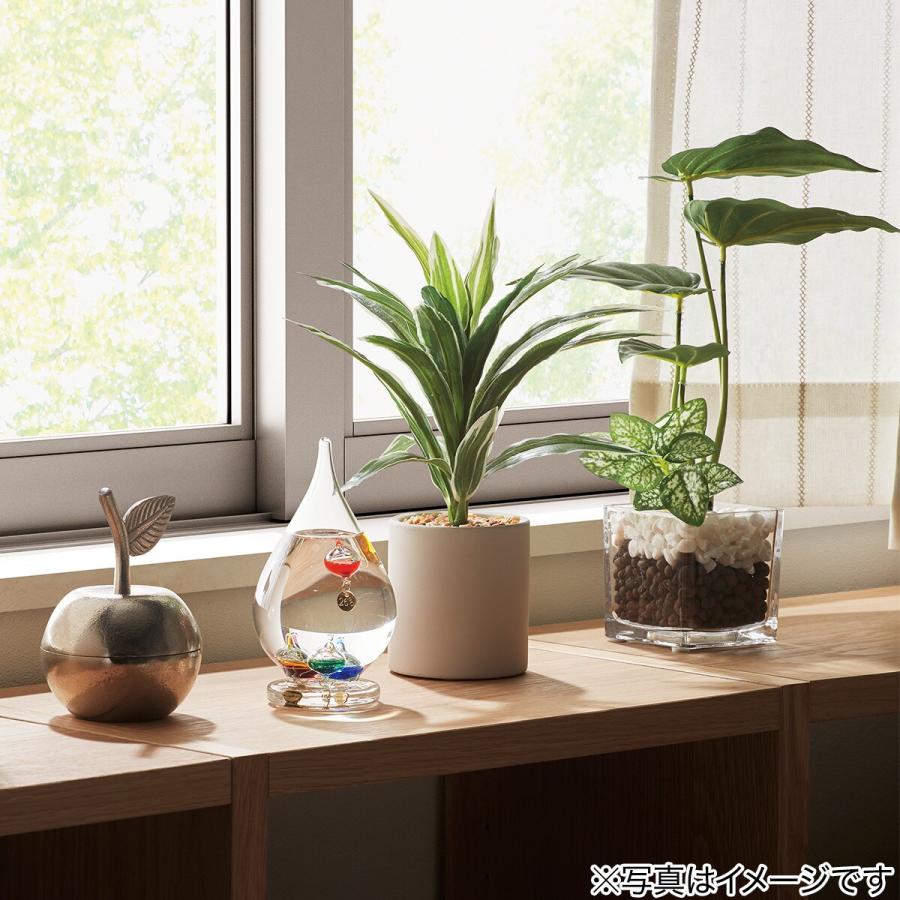 ニトリ ドラセナ28cm テラコッタポット フェイクグリーン ニトリ ドラセナ28cm テラコッタポット フェイクグリーン