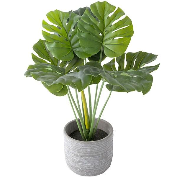 モンステラ 人工観葉植物 セメントポット付き ニトリ モンステラ70cm セメントポット フェイクグリーン