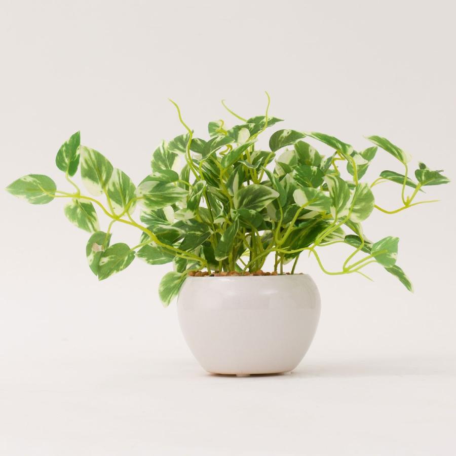 ニトリ（NITORI） ポトス セラミックポット フェイクグリーン