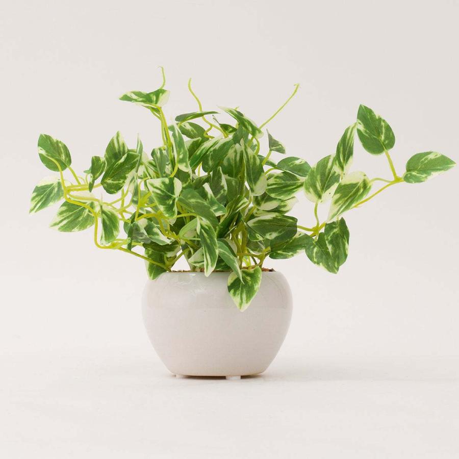 ニトリ（NITORI） ポトス セラミックポット フェイクグリーン