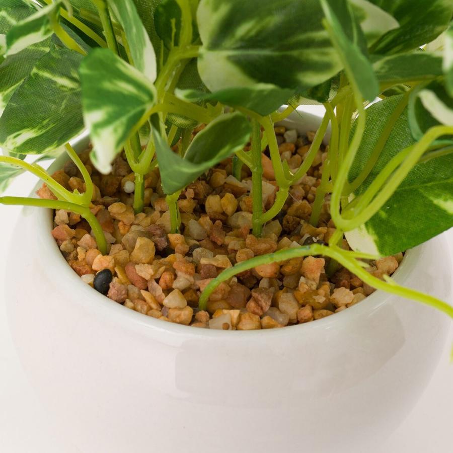 ニトリ（NITORI） ポトス セラミックポット フェイクグリーン