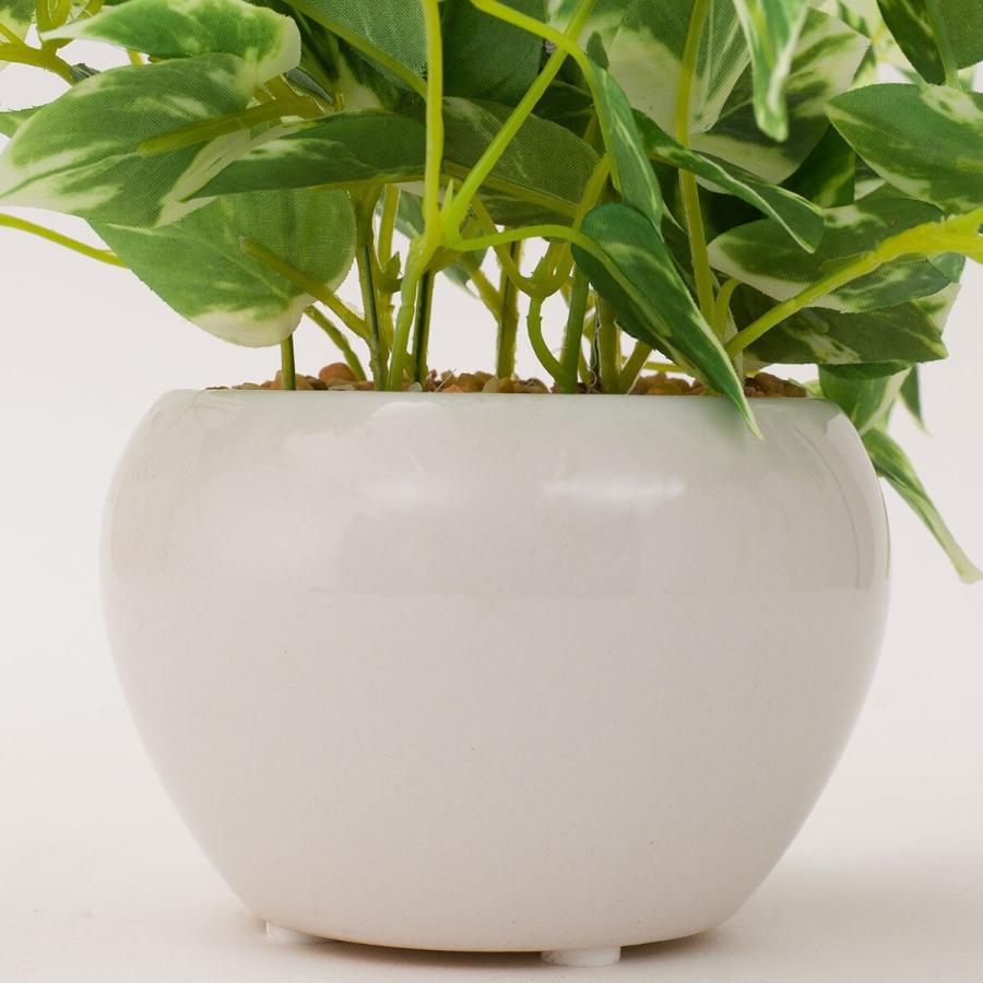 ニトリ（NITORI） ポトス セラミックポット フェイクグリーン
