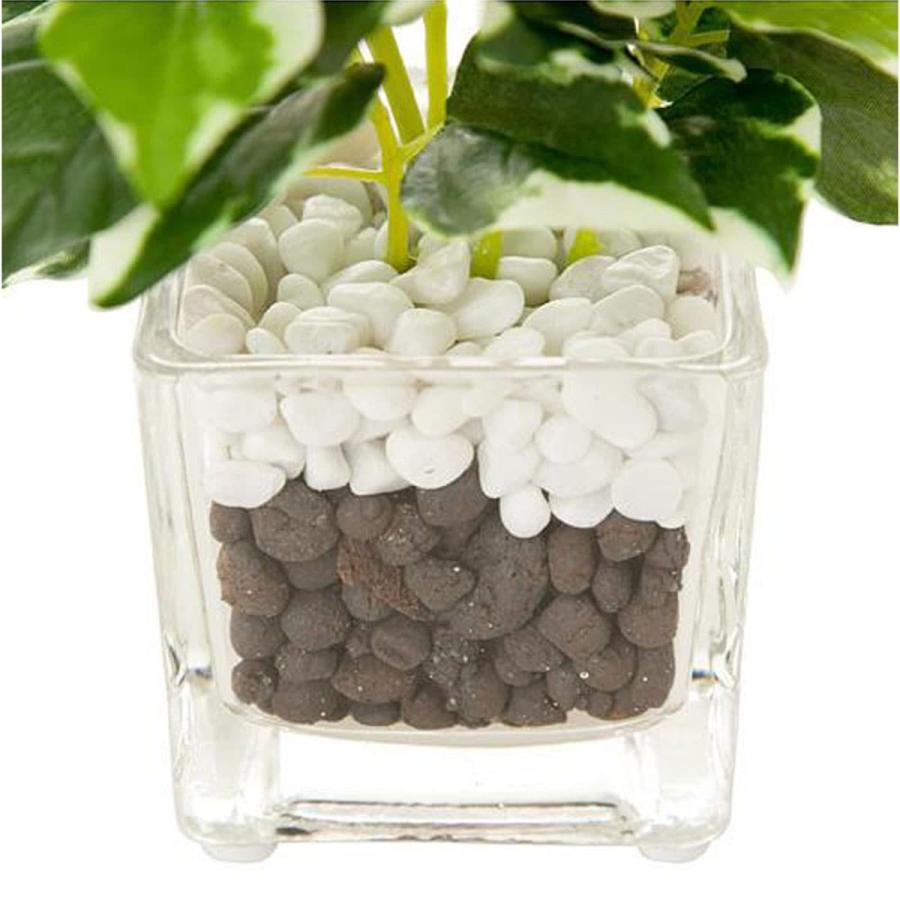 ニトリ（NITORI） ガラスポット(ペペロミア) フェイクグリーン