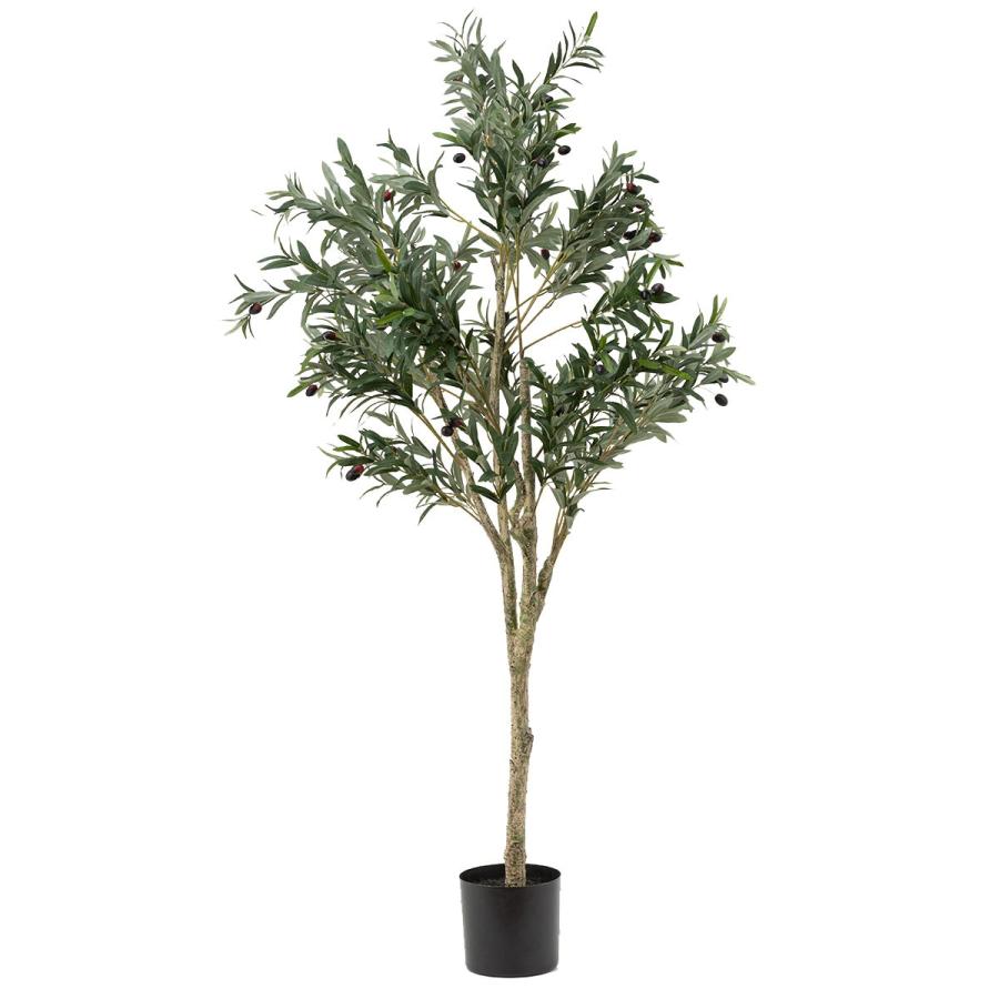 Qlグリーン オリーブ 150cm ニトリ 玄関先迄納品 1年保証 ニトリ Yahoo 店 通販 Yahoo ショッピング