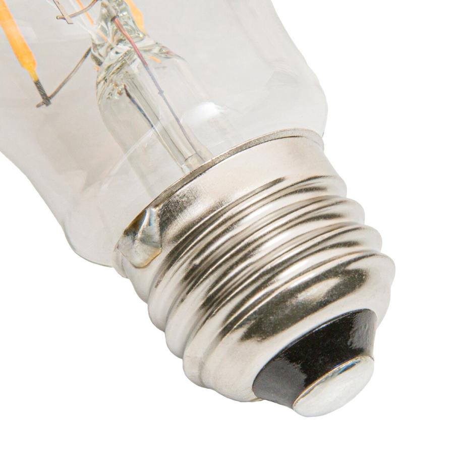 ニトリ LEDフィラメント球 電球 E26 ガラス 14個セット 【公式通販】