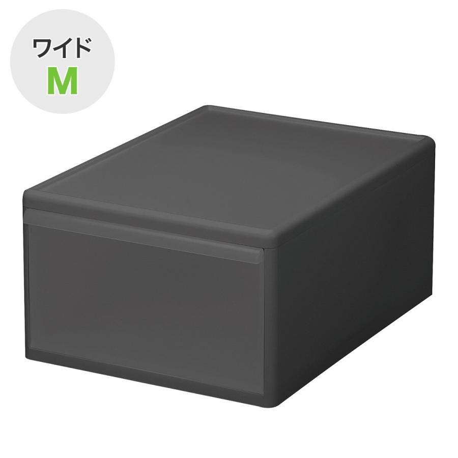 【匿名配送料込】　天馬　ニトリ　④⑤⑥ワイド中深型　収納ケースセット 押入れケース セレスFD ワイド中深型(M/高さ23cm) | ニトリネット