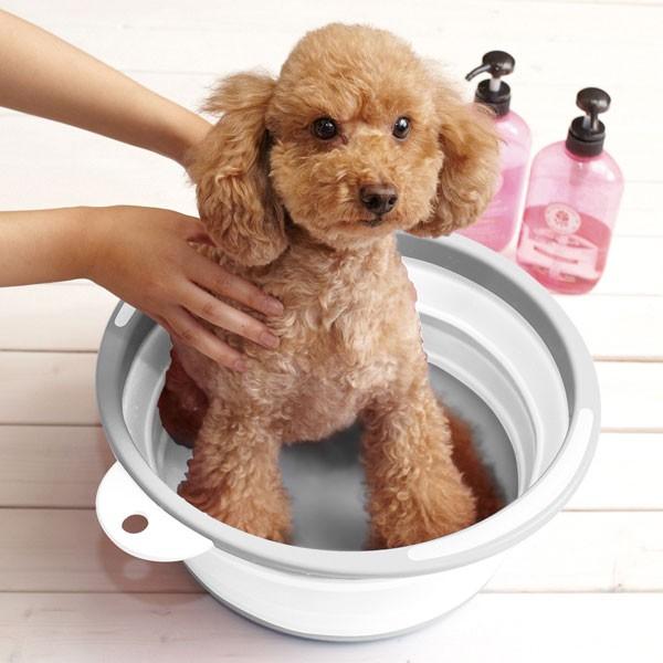 たためるソフトタライ 12l グレー ニトリ 玄関先迄納品 ニトリ Yahoo 店 通販 Yahoo ショッピング