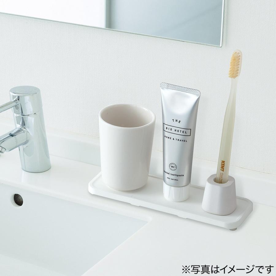 ニトリ（NITORI） 吸水多孔質セラミックストレー(幅19×奥行6.5cm