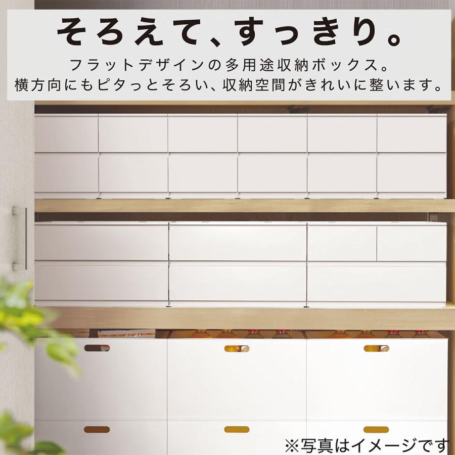 引出し Nインボックス たて型ハーフ 3段 Dbr 公式サイト 1年保証 玄関先迄納品 ニトリ