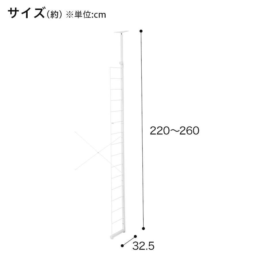 突っ張りワイヤーシェルフNポルダ2連パンチングセット(幅120cm ホワイトウォッシュ)  棚 シェルフ スチールラック 壁面収納 ニトリ｜nitori-net｜04