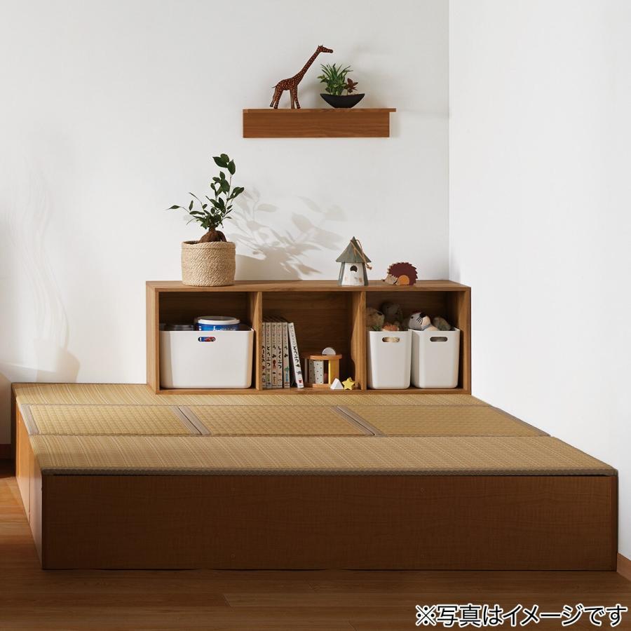 brunt LACKING ラッキング シェルコンラック　タンカラー　新品 BRUNT LACKING シェルコンラック ラッキング タン brunt LACKING