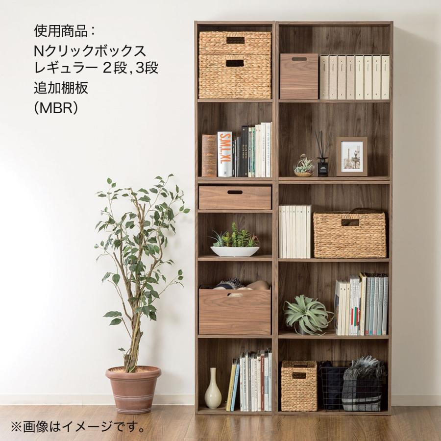 Nクリック 簡単組立て カラーボックス ボックス ワイド2段(ミドル