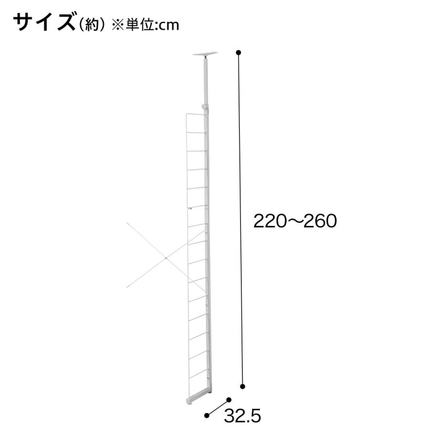 ニトリ（NITORI） Nポルダ用追加サイドパーツ(幅40cm用 ホワイト) 棚