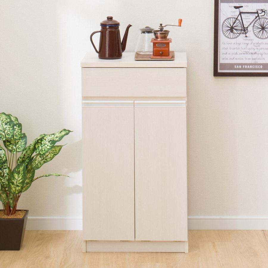 分別ペールカウンター(フォルムWH 2B) ゴミ箱 ごみ箱 ペール