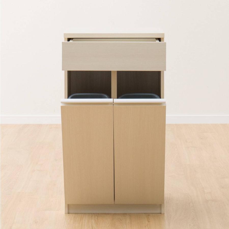 分別ペールカウンター(フォルムWH 2B) ゴミ箱 ごみ箱 ペール