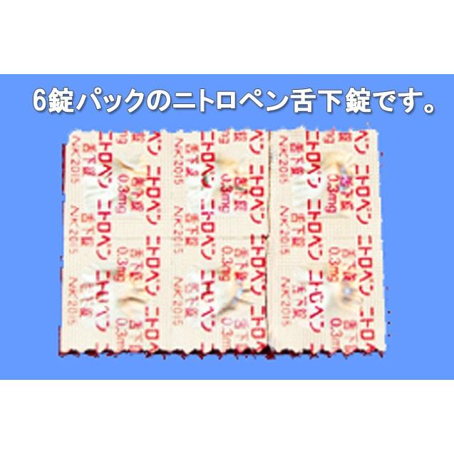 携帯 ピルケース 薬 ケース 薬入れ 防水 ニトロペン 舌下錠 1-2錠用 エスティペンダントAタイプ 文字入れ無し 送料無料  ネックレス チェーン付き 55センチの画像