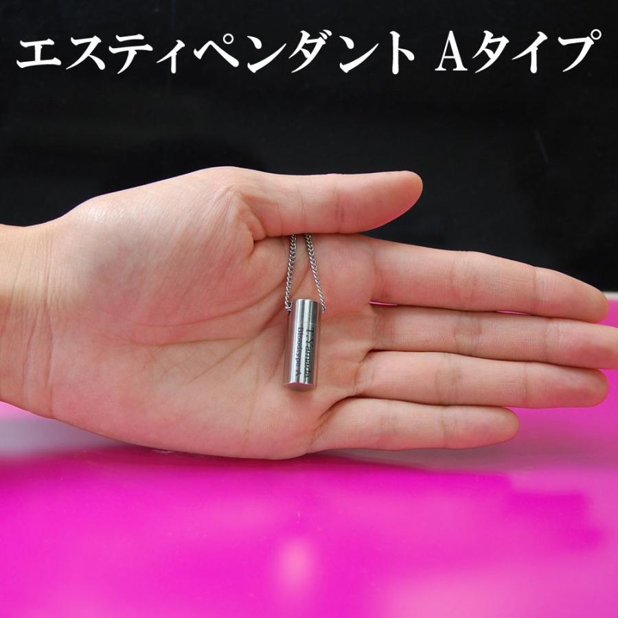 ニトロ 専用 ペンダント ネックレス ピルケース ロケット 薬入れ 薬 エスティペンダント A ニトロペン 舌下錠 1,2錠用、送料無料 ネックレス 70cm チェーンの画像