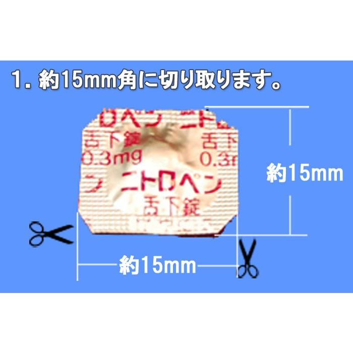 ニトロ 専用 ペンダント ネックレス ピルケース ロケット 薬入れ 薬 エスティペンダント A ニトロペン 舌下錠 1,2錠用、送料無料 ネックレス 70cm チェーンの画像