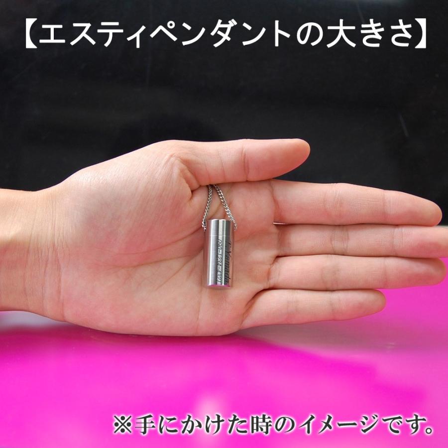 ピルケース ペンダント ニトロケース 薬入れ ロケット 防水 ニトロ 舌