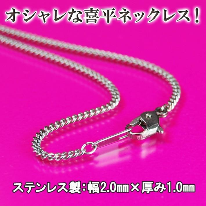 ピルケース ニトロケース 携帯 ニトロ 薬入れ ペンダント ネックレス 完全防水 ニトロペン舌下錠 1,2錠用 エスティペンダントAタイプ ネックレス長さ 70cmの画像