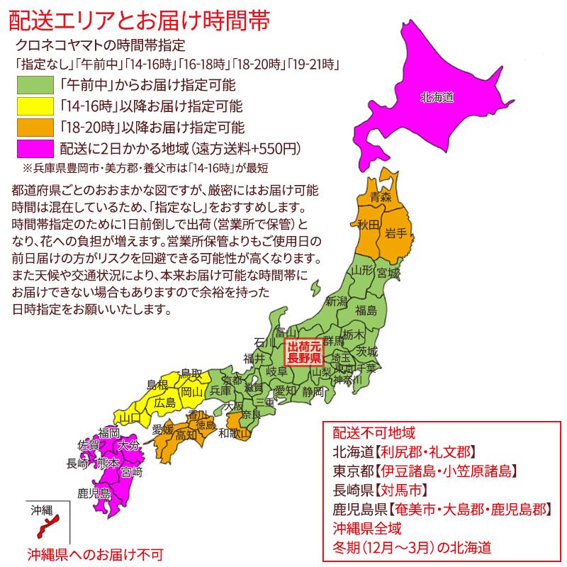 お供えバスケットLサイズ お悔やみ アレンジ お彼岸 花 枕花 命日 仏事 法事 仏花 菊 花 ユリ アレンジメント フラワー 白 お盆 ■お供えバスケットL■ |  | 09