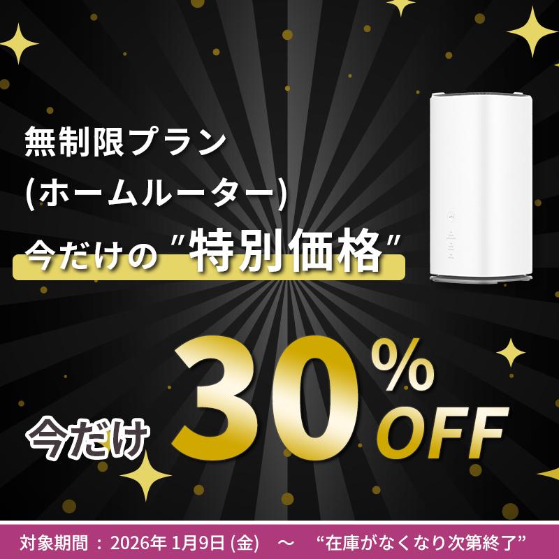30%割引!】ホームルーター レンタル 無制限 Wi-Fi 30日 1カ月間 wimax