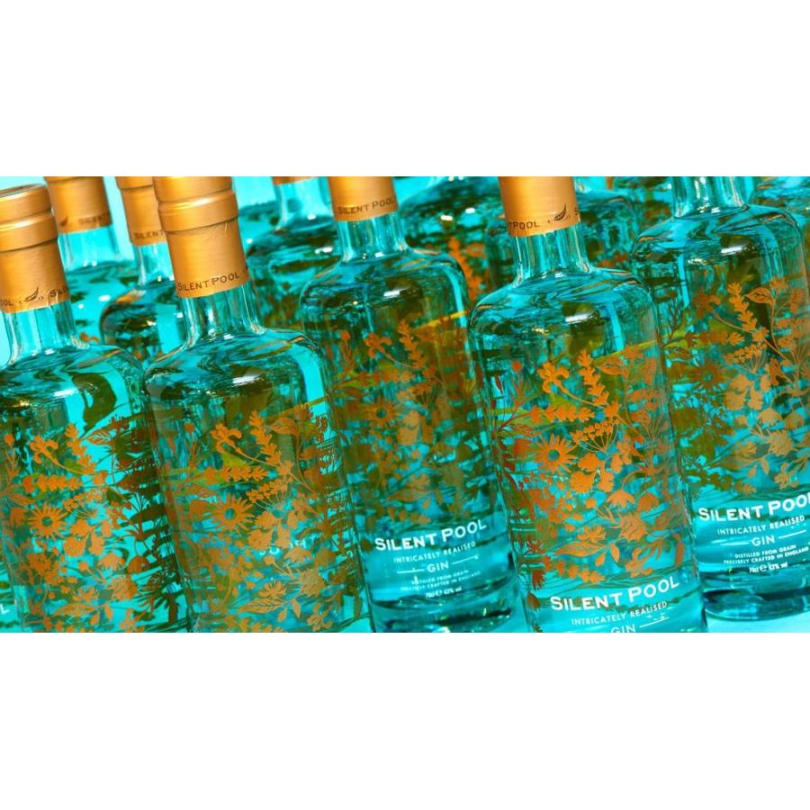 ロンドンドライジン サイレントプール ジン 43％ 700ml 1本 : 酒