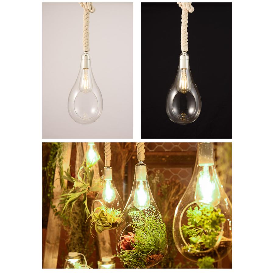 スワン電器 APE-020 BOTANIC HANGING LIGHT with FAKEGREEN L