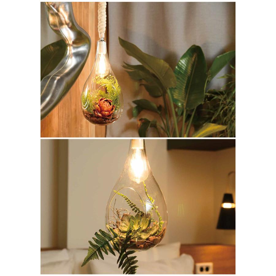 未使用品】BOTANIC HANGING LIGHT Lサイズ スワン電器 【公式通販】