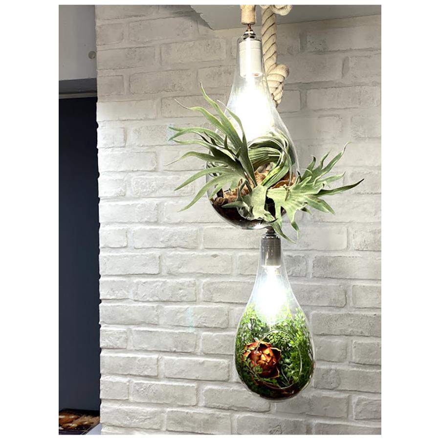 APE-021 スワン電器 BOTANIC HANGING LIGHT with FAKEGREEN M