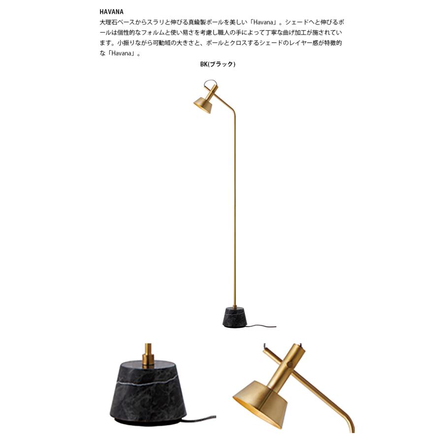 AW-0529Z ARTWORKSTUDIO(アートワークスタジオ) Havana floor lamp 