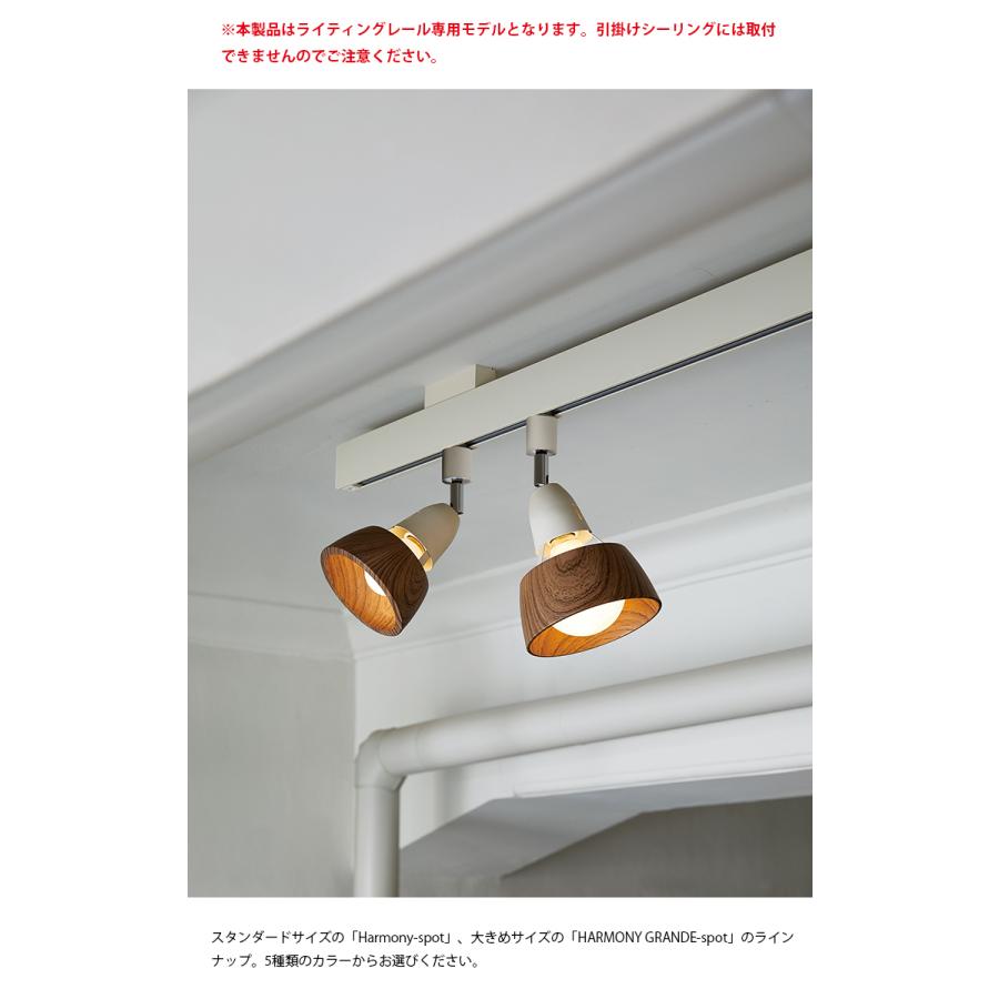 AW-0537Z ARTWORKSTUDIO(アートワークスタジオ) HARMONY GRANDE-spot