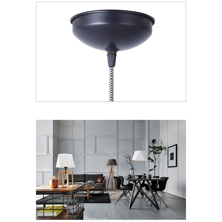 アートワークスタジオ AW-0584E Espresso 2-shallow pendant