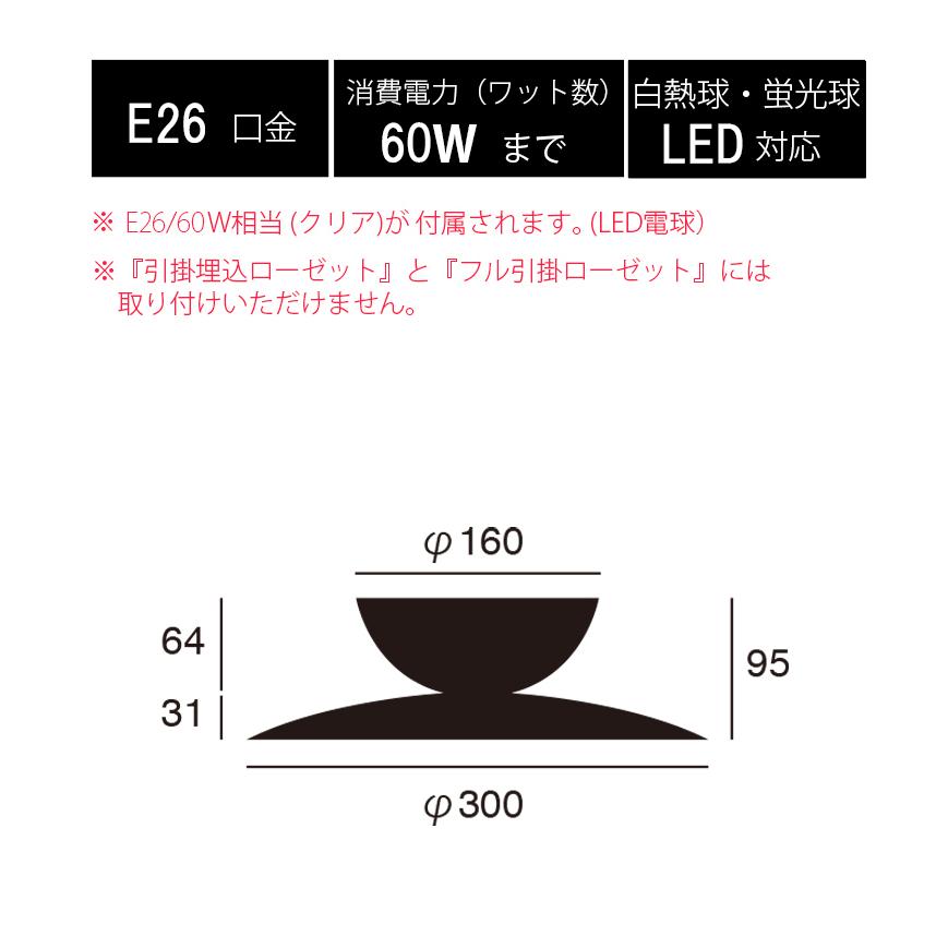AW-0657E Probe-ceiling light (L) プルーブシーリングライト Lサイズ