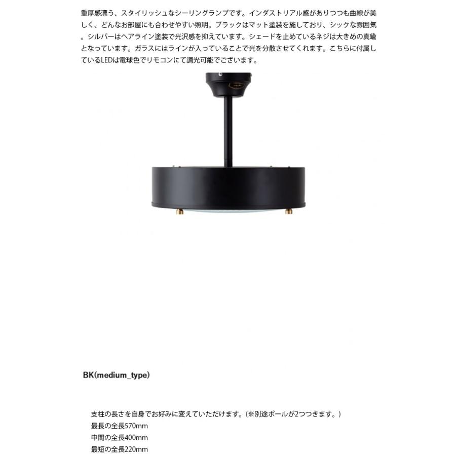 CM-009-BK HERMOSA ハモサ NEIL CEILING LAMP ニールシーリングランプ