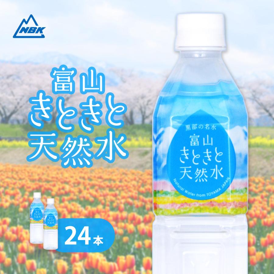 富山きときと天然水　ミネラルウォーター　富山　軟水　北アルプス　ニットービバレッジ　ペットボトル　500ml　24本　まとめ買い　送料無料｜nitto-beverage｜01