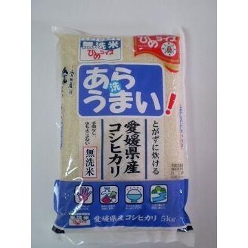 無洗米 あらうまい コシヒカリ ５ｋｇ 令和５愛媛県産精米｜nittoshouji