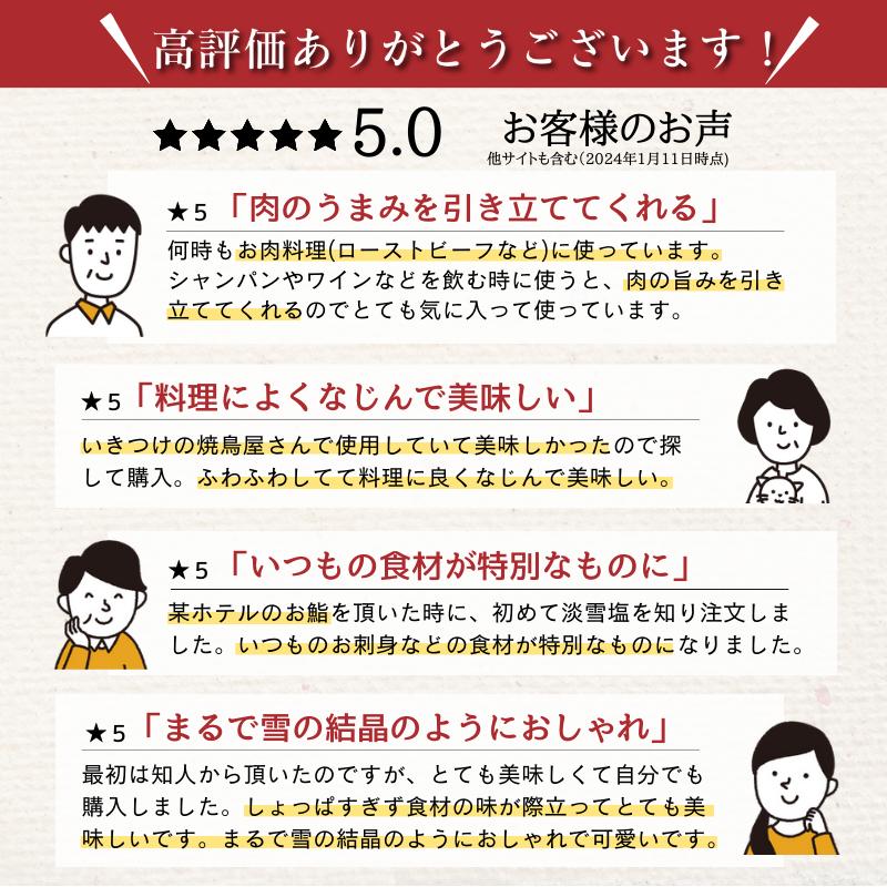 （価格リニューアル）淡雪塩　20ｇ （6）フレーク 仕上げ 調味料 塩 雪の結晶 | ブランド登録なし | 02