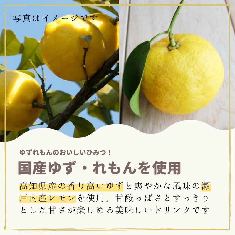 価格リニューアル）ゆずれもん 徳用 30袋 (☆12) 粉末 ゆず レモン