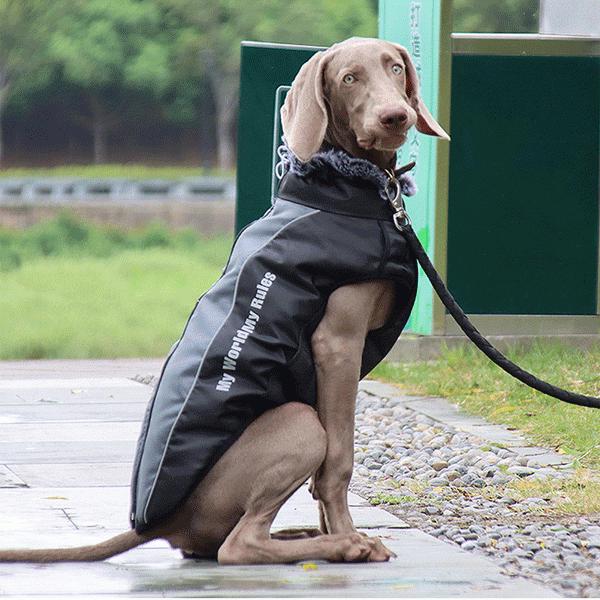 犬服 冬 中型犬 大型犬 コート ドッグウェア 冬 大きいサイズ 撥水 防寒着 暖かい ジャケット 中綿 軽量 厚手 防寒対策 送料無料 Br 6 日中愛源 通販 Yahoo ショッピング