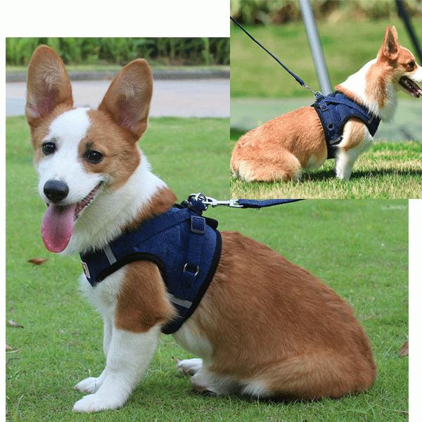 犬 ハーネスリードセット コーデュロイ生地 胸あて式 胴輪 イヌ ドッグ