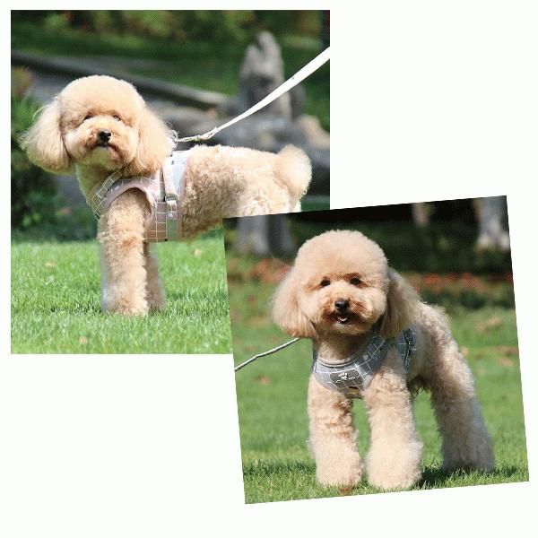 犬 ハーネスリードセット チェック柄 胸あて式 胴輪 ハーネス リード