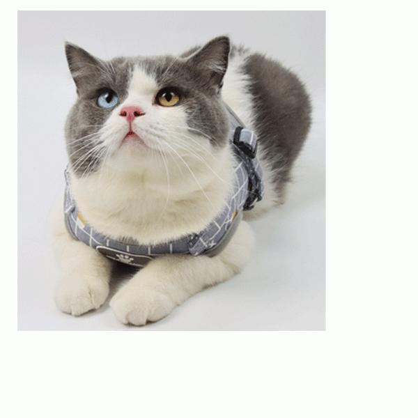 citron 犬用ハーネス グレー・チェックハーネスセット Matthew