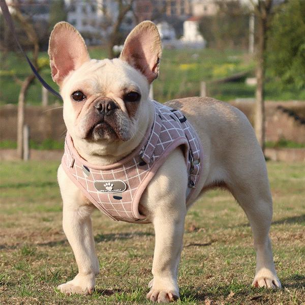 犬 ハーネスリードセット チェック柄 胸あて式 胴輪 ハーネス リード