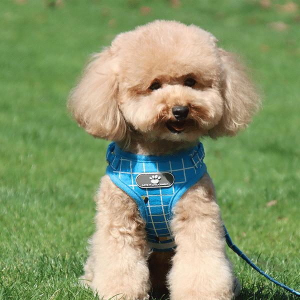 犬 ハーネスリードセット チェック柄 胸あて式 胴輪 ハーネス リード
