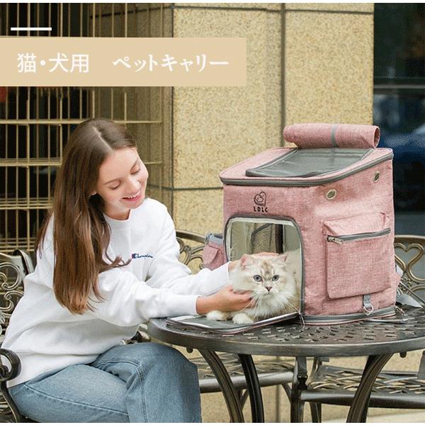 Ldlc ペットキャリーバック バックパック バッグ 犬猫兼用 猫用 メッシュ キャリーリュック Lサイズ 10kg 送料無料 犬 ねこ ネコ 猫 即納最大半額