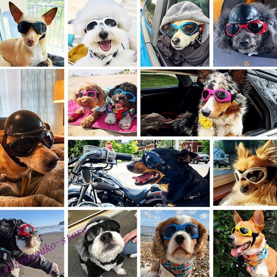 犬用 サングラス ゴーグル メガネ ペット用 めがね ドライブ用 夏用 眼鏡 ゴム 写真用 中型犬 小型犬 クール カッコイイ かっこいい おしゃれ Panmcb04 One Leaf 通販 Yahoo ショッピング